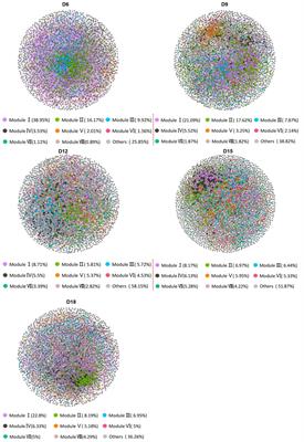 Effects of moderate drought extension on bacterial network structure in the rhizosphere soil of Leymus chinensis in semi-arid grasslands